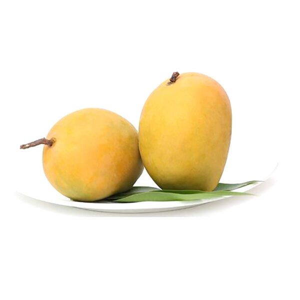 Fresh Mango, Alphonso Ratnagiri, 6 Pieces - Image 2